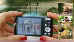 24_изменение размера_изменение размера